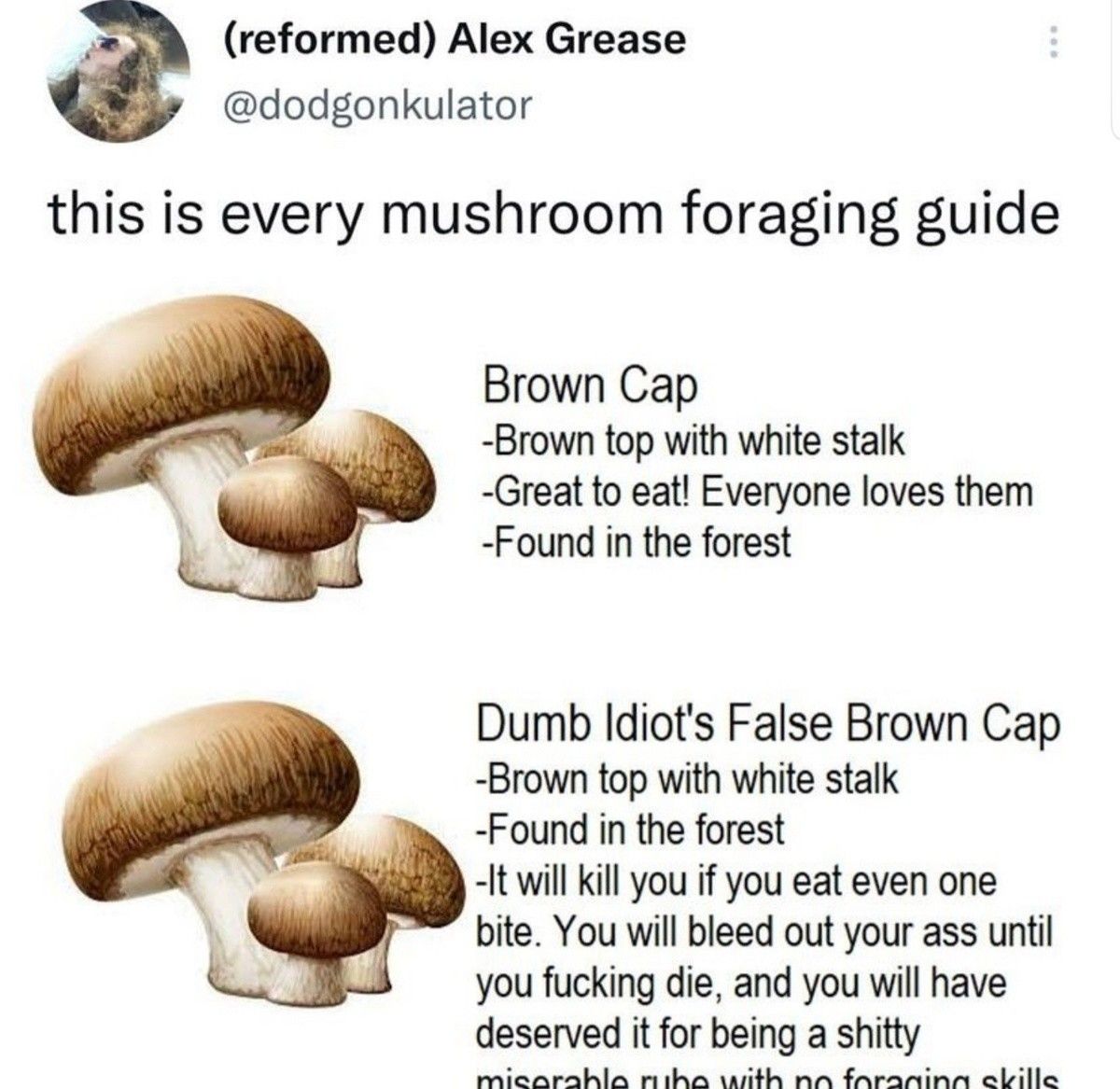 Mushrooms aren't even any good