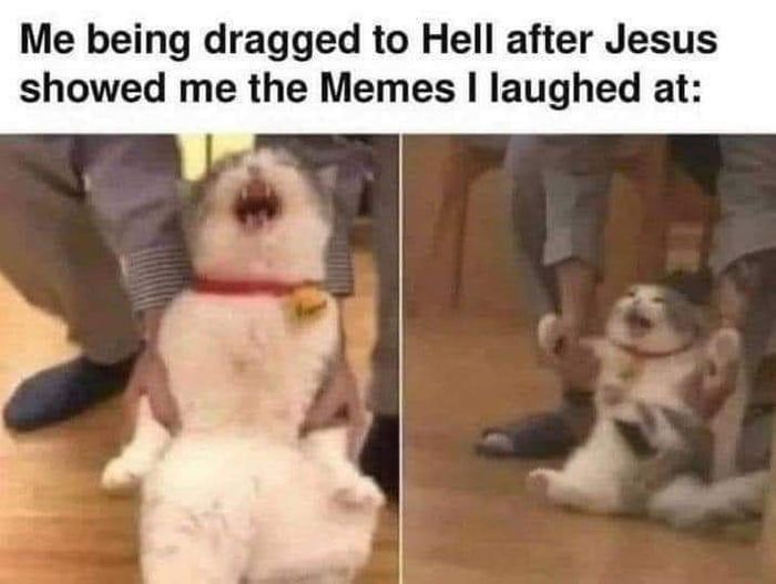 the memes