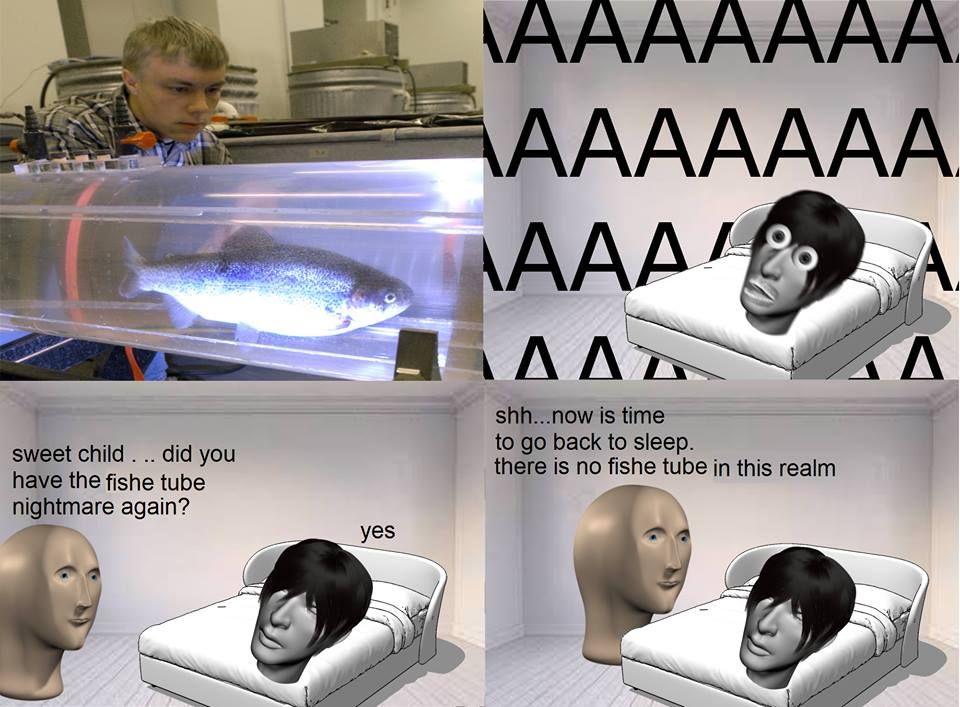 The toob