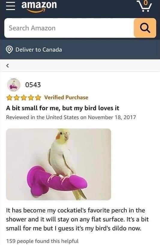 The bird's dildo now