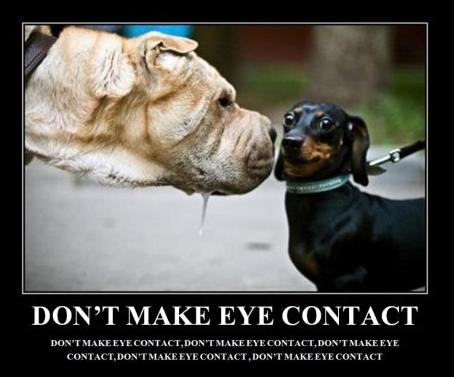 Don't Make Eye Contact