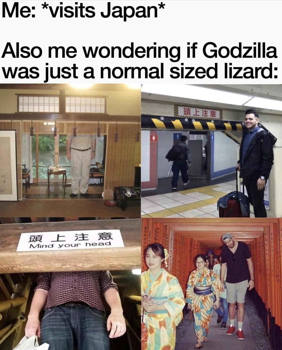 lizard