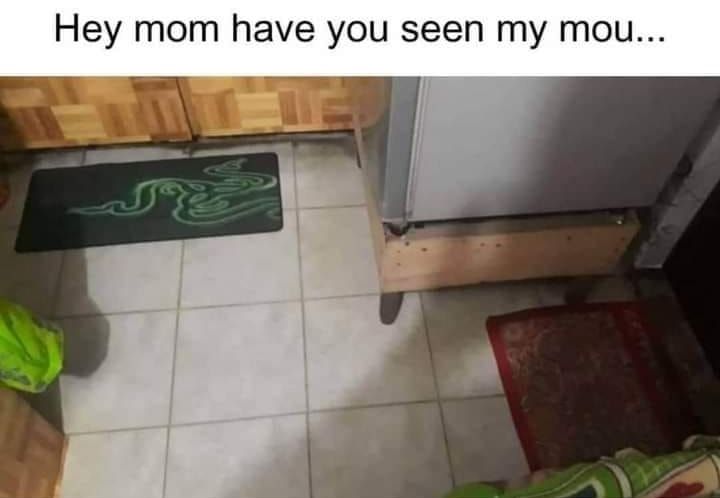 Are you winning mom