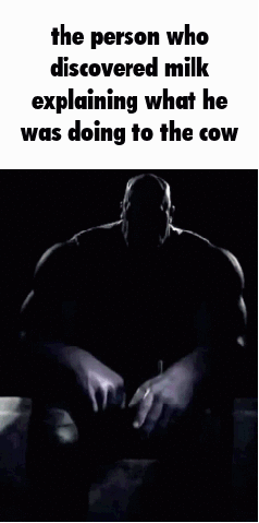 Honestly, I did not realize it was not a bull