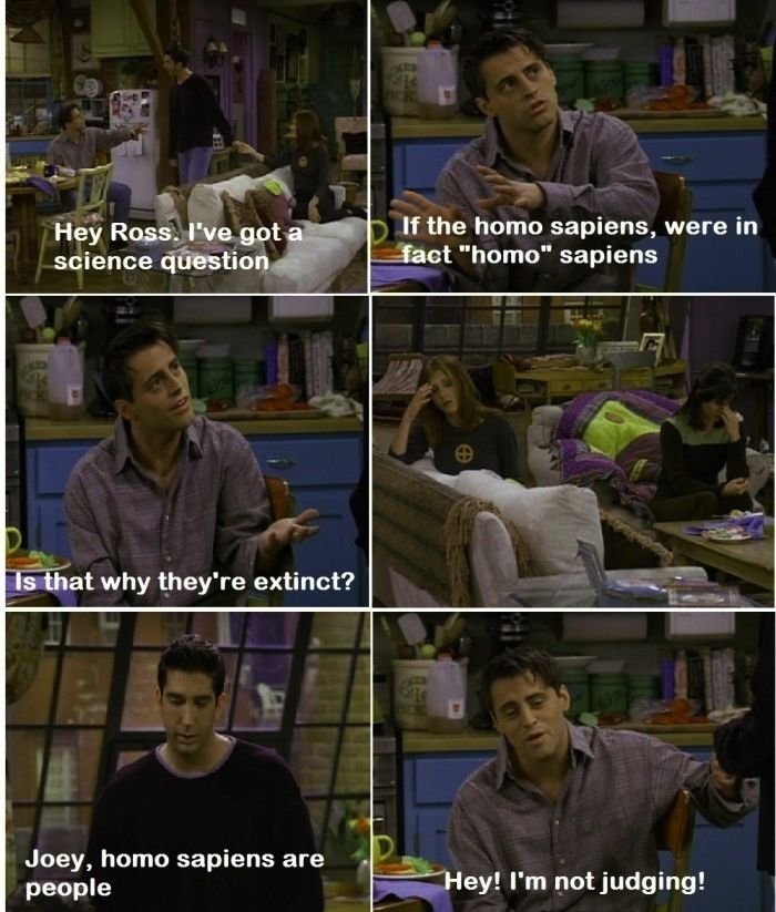 Oh, Joey