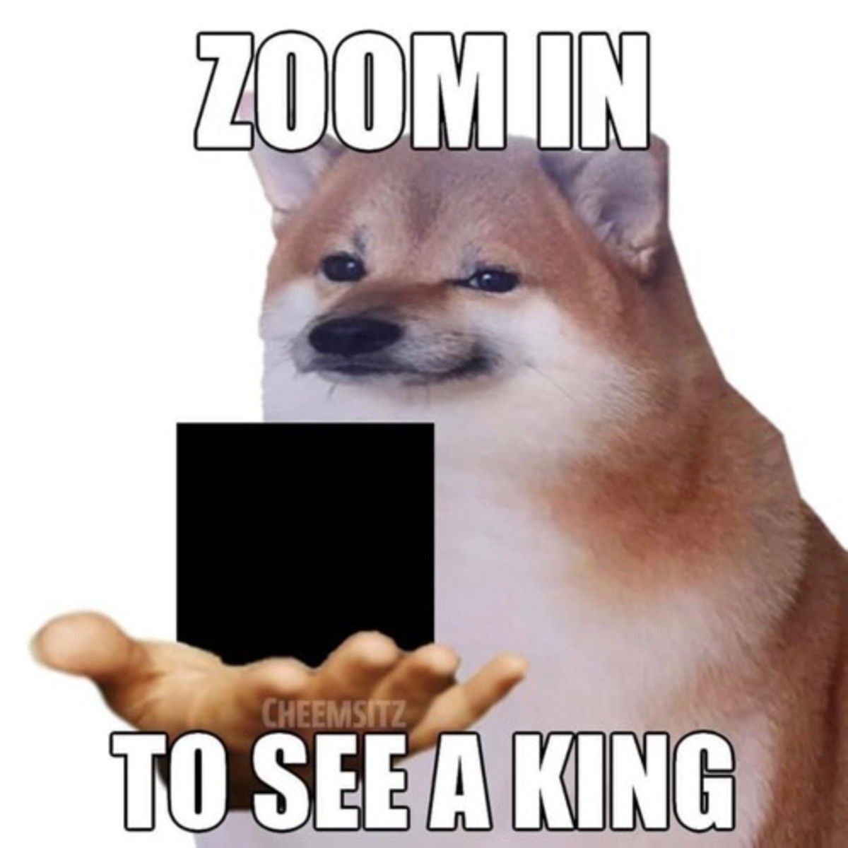 king