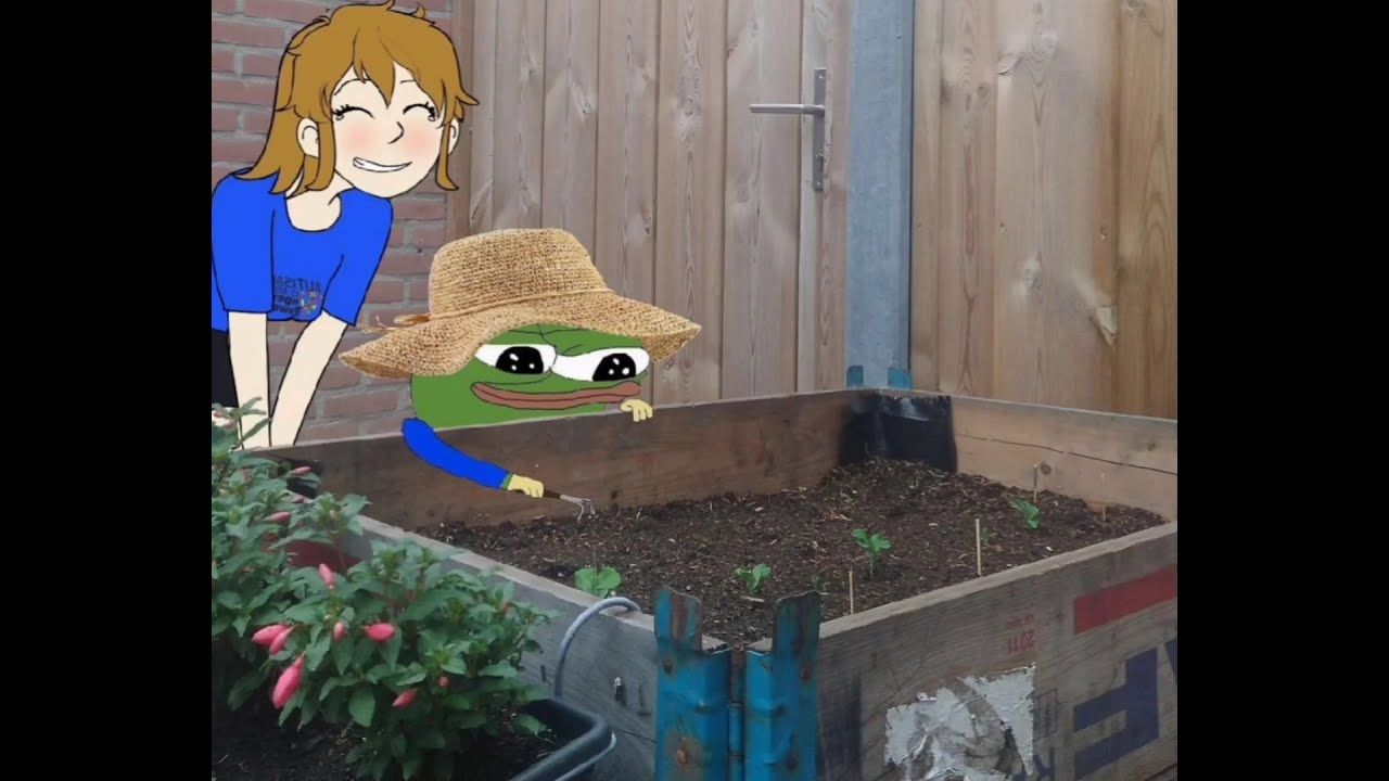 "And this is where I will grow the emergency beans... In case of a zombie apocalypse."