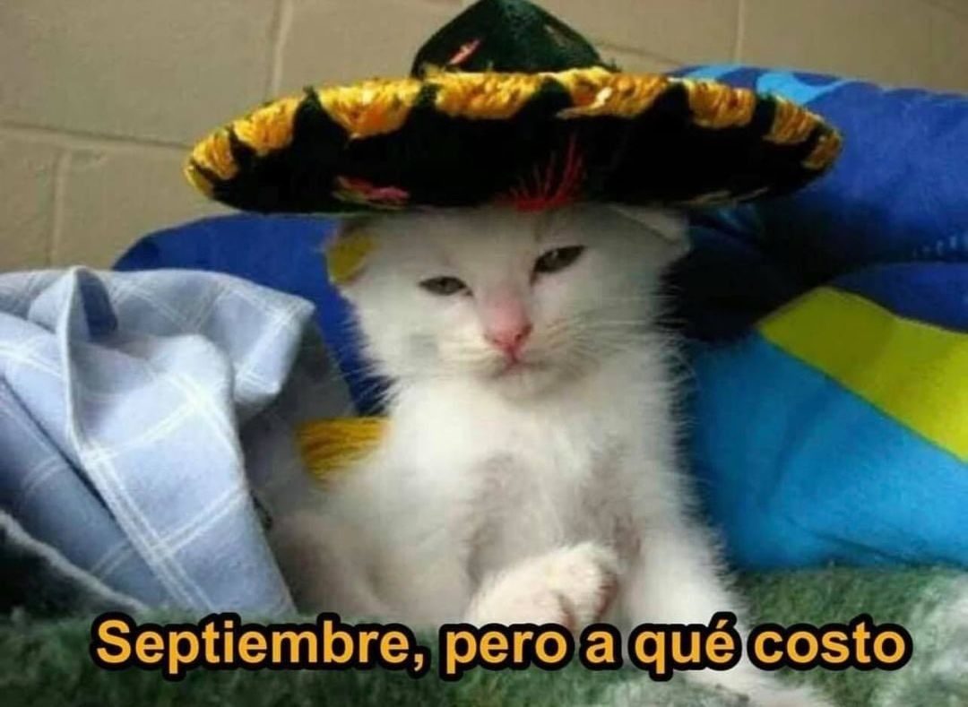 "September, but at what cost"