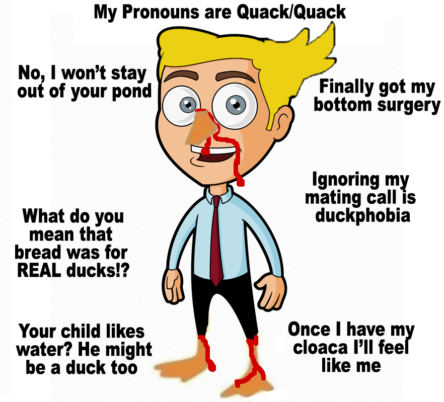 against the rampant duckphobia on hugelol