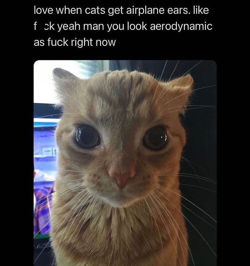 airplane mode: ON