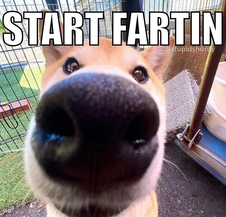 Go ahead