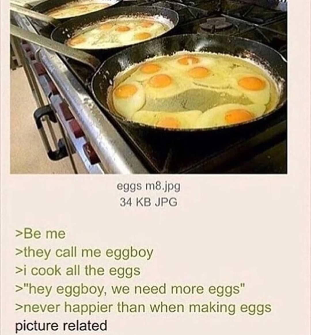 eat my eggs