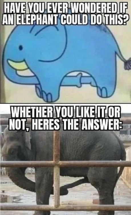 we can metaphorically suck our own dicks tho
