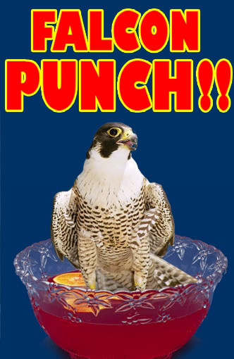 Falcon Punch!