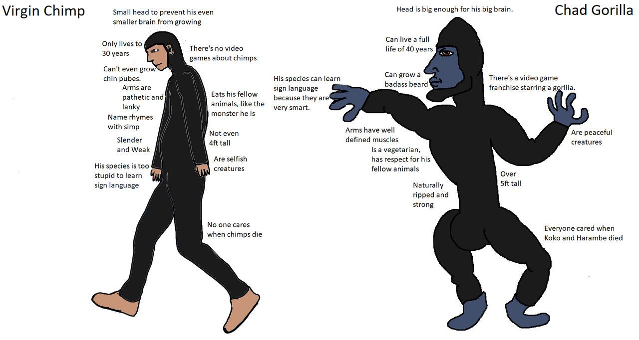 The Forbidden Zone