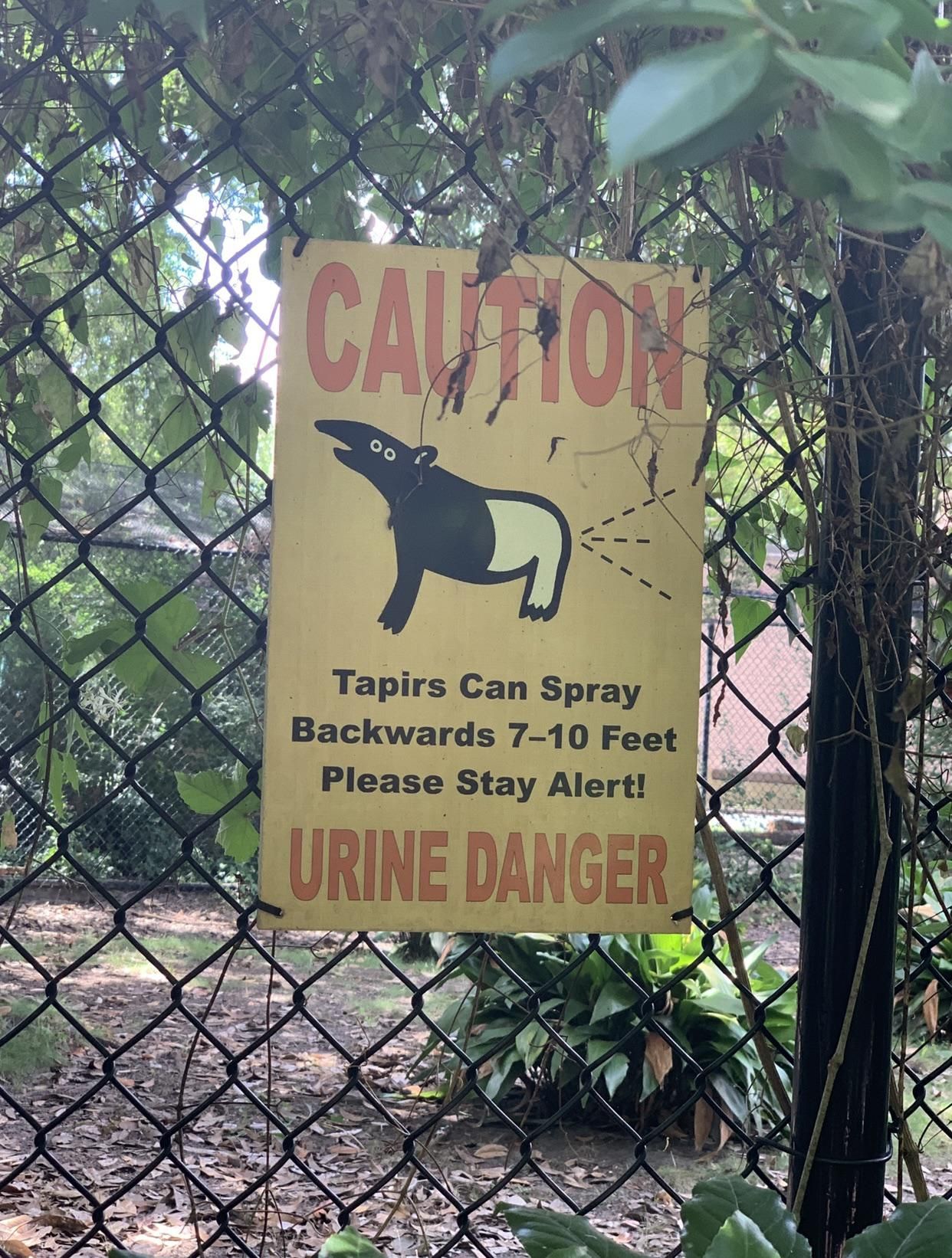 Urine Danger