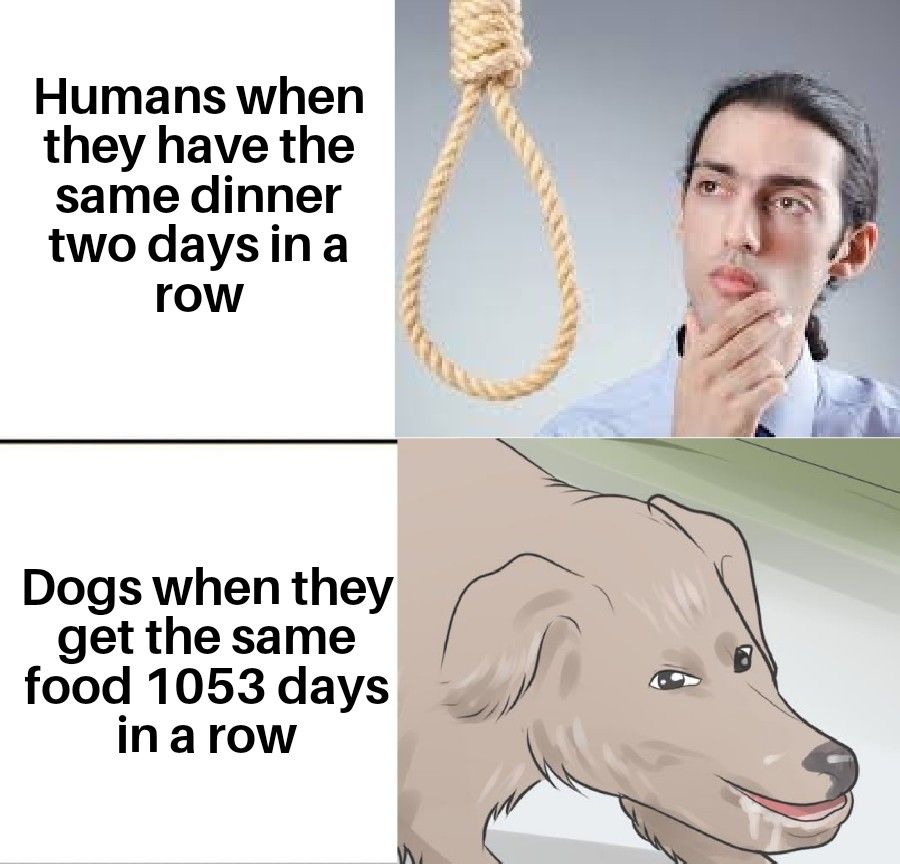 Le Dog likes food