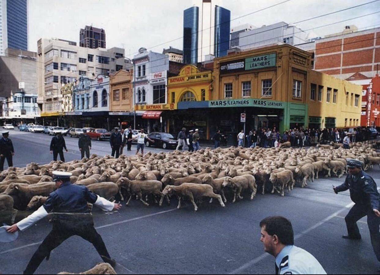 Pro Lockdown Protest, Melbourne 1994
