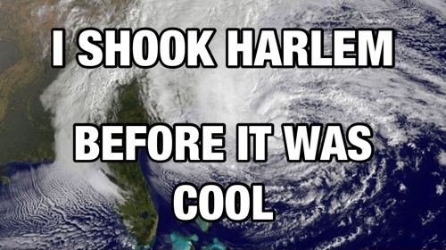 Hurricane Shake!