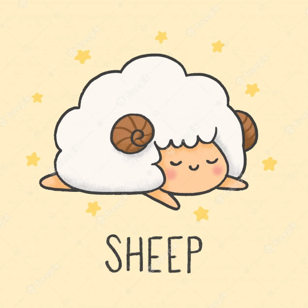 Sheep