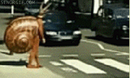 How it feels when you're the one driving the car