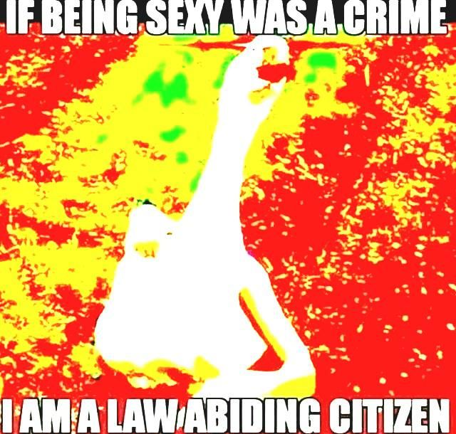 I'm a law obeying citizen