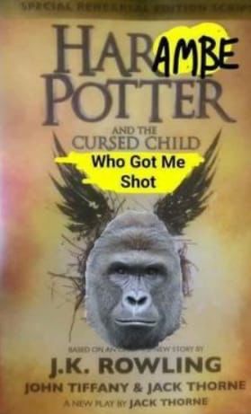 Don't message me if your literature club isn't this lit