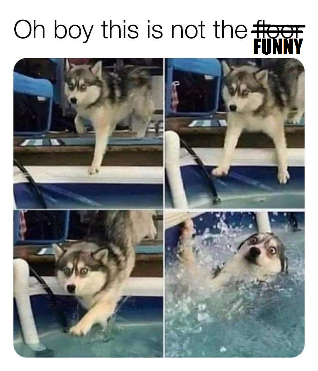 Stepping into fresh be like