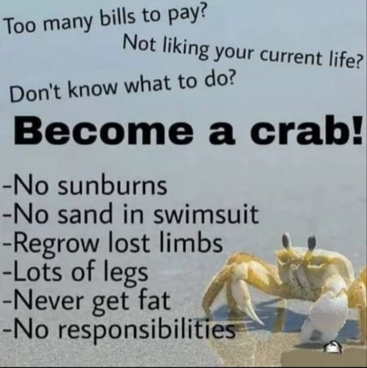 Crab>Monke