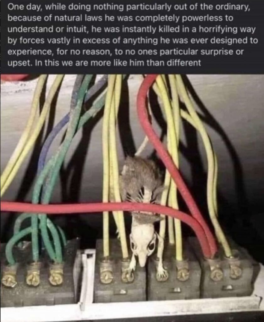 big sad