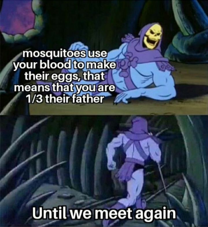 I was just feeding my children all along..