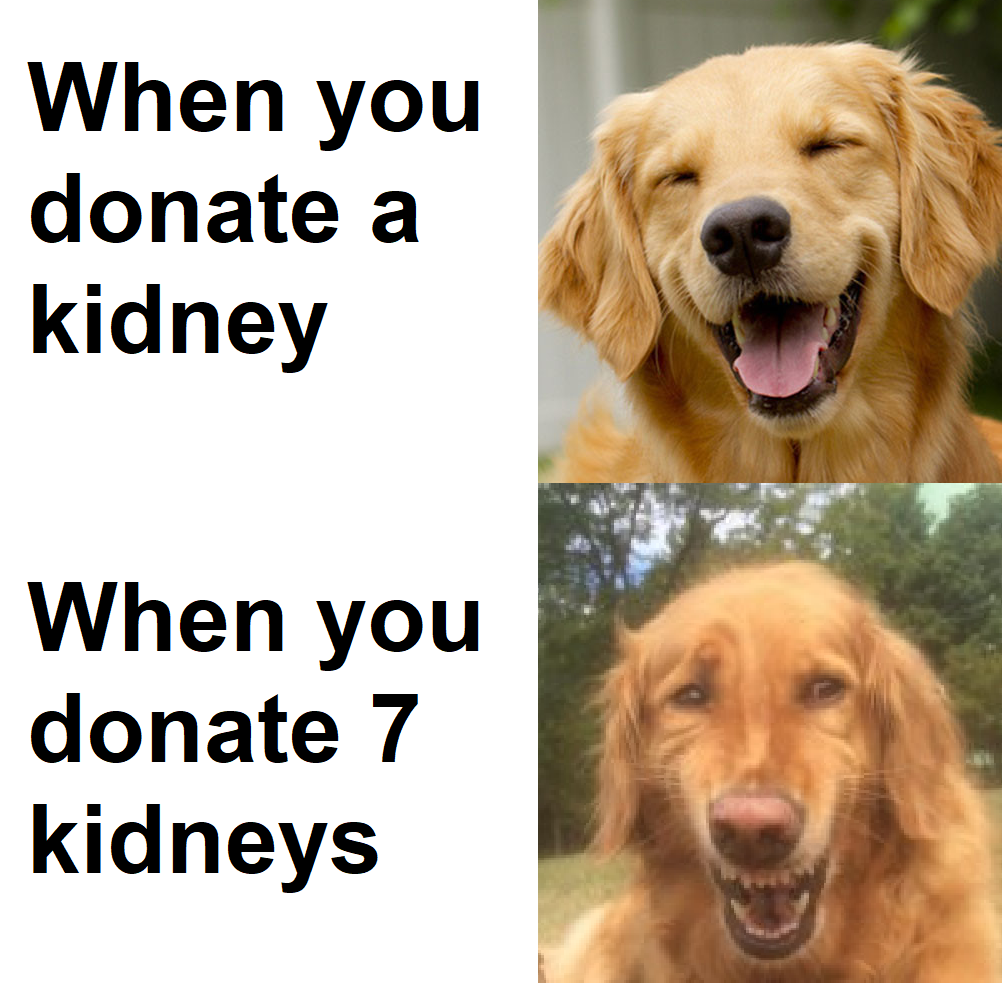 i guess more is less or something