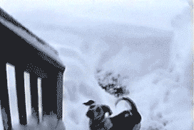 I must go my people needs me
