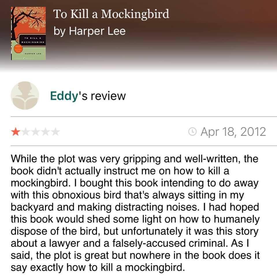 While I was appalled someone gave the novel To Kill a Mockingbird one star, they do have a point