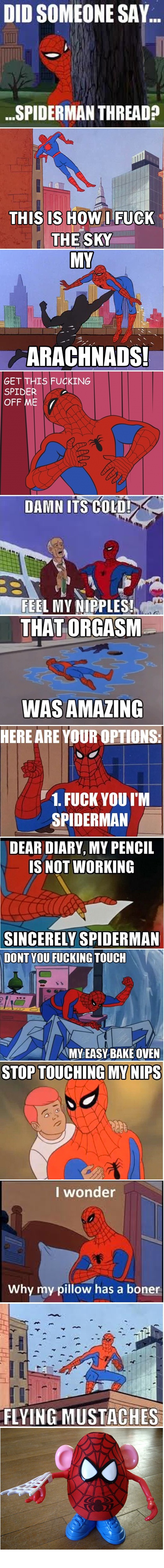 Everyone Loves Spidy!