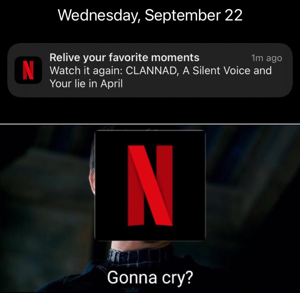 Yes Netflix, I’m going to cry.