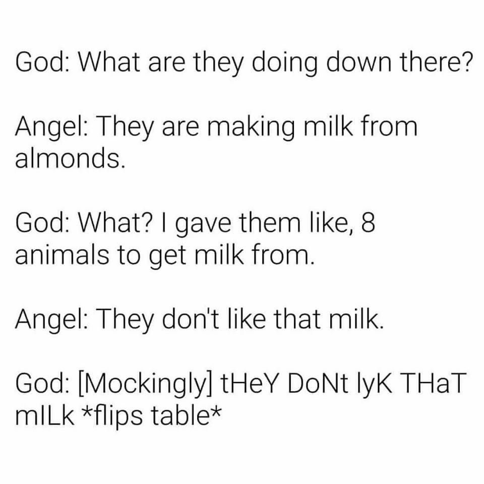 tHeY DoNt lYk THaT mILk