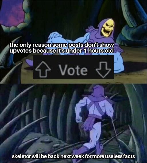 Skeletor is filled with facts
