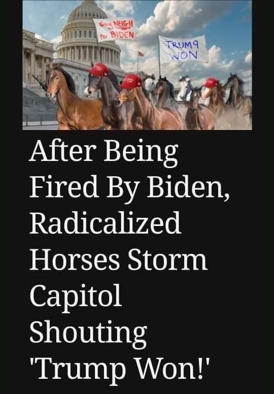 neigh