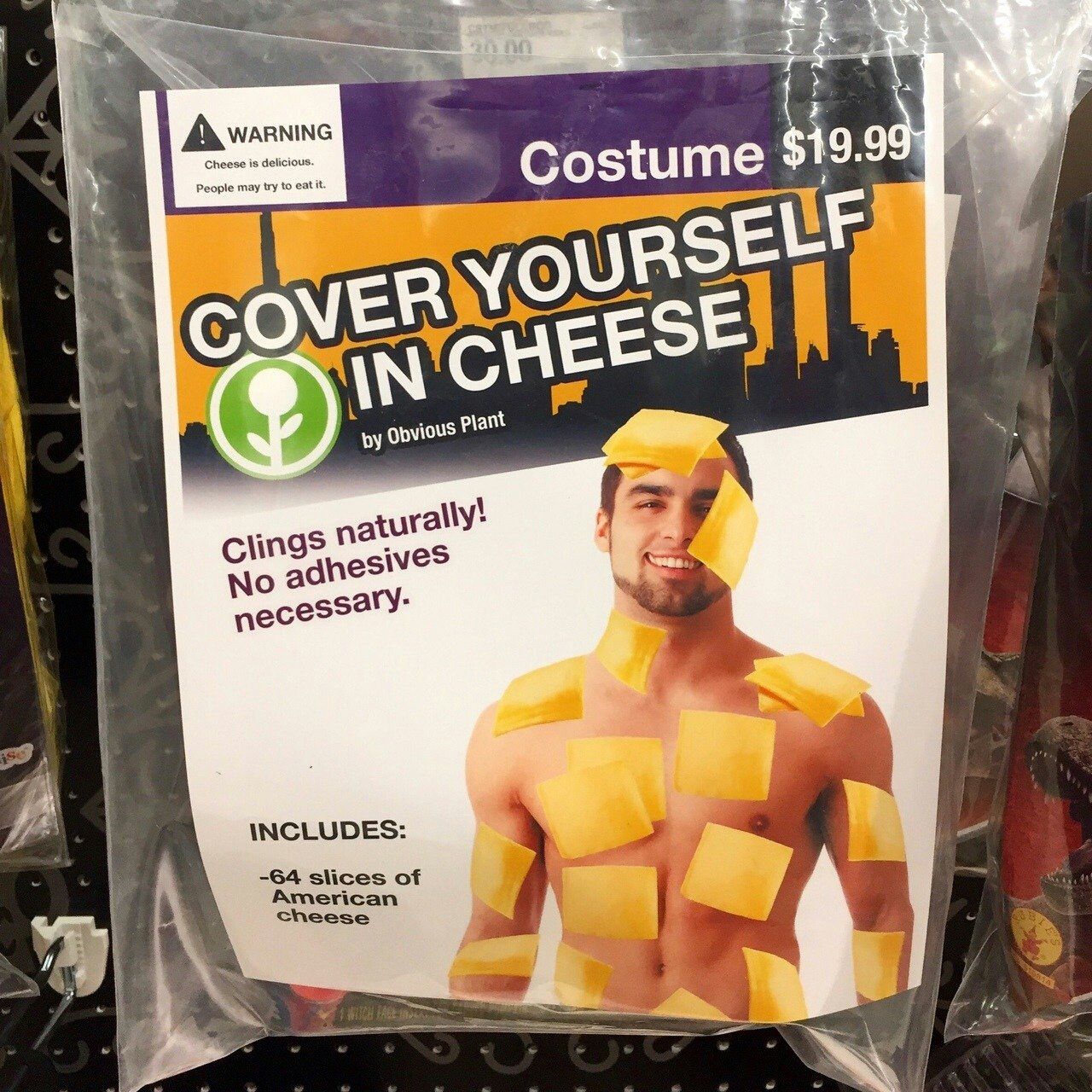 cheese>oil