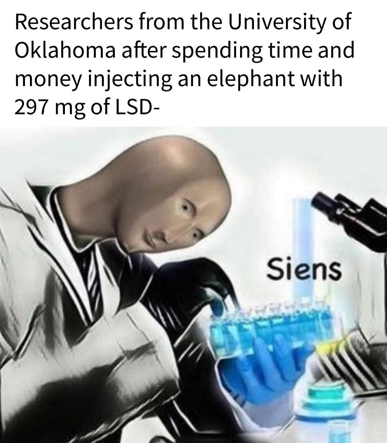 "Hmm. Elephants respond badly to massive doses of LSD...fascinating."