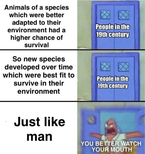 Evolution seems to be ok, just not for humans