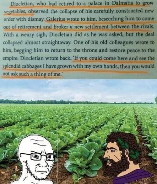 cabbage grower