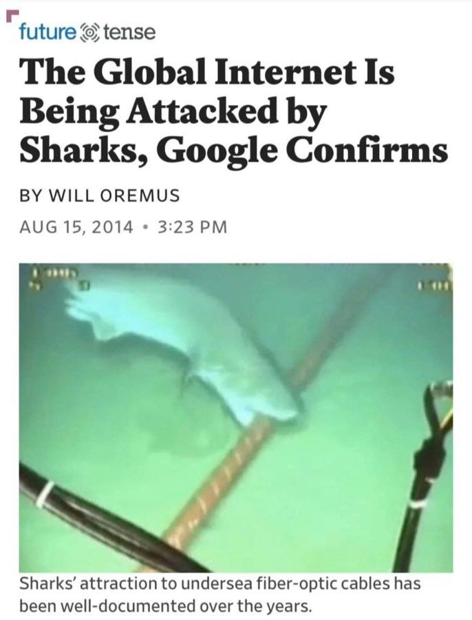 Shark Attack will have a new meaning.