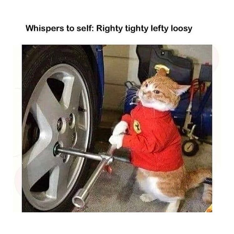 mechanic catto