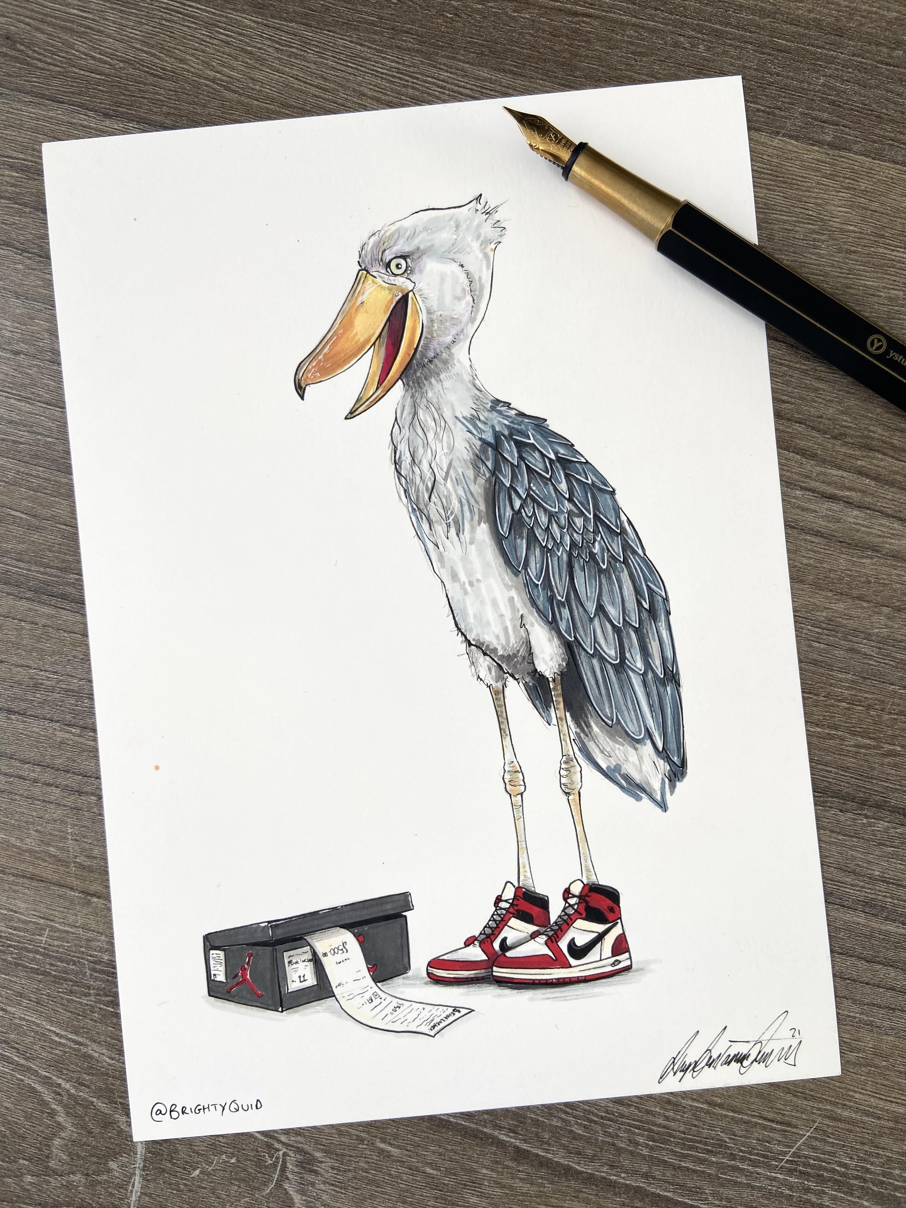 Shoebill with a shoe bill - Ink Drawing
