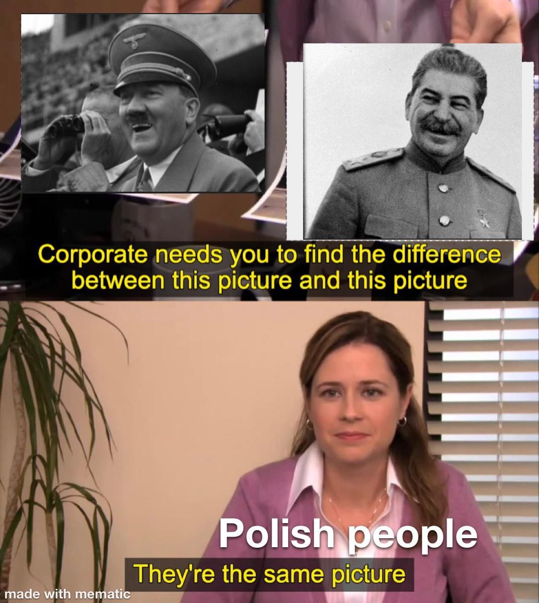 They're the same picture, polish people be like
