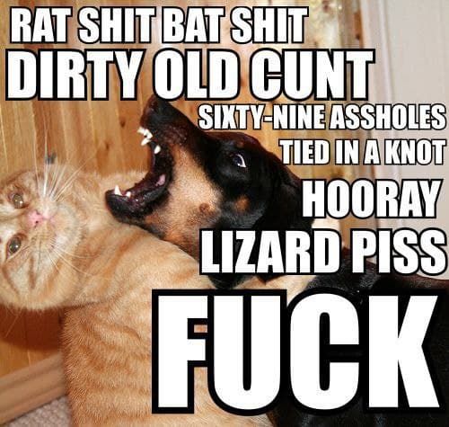 yes