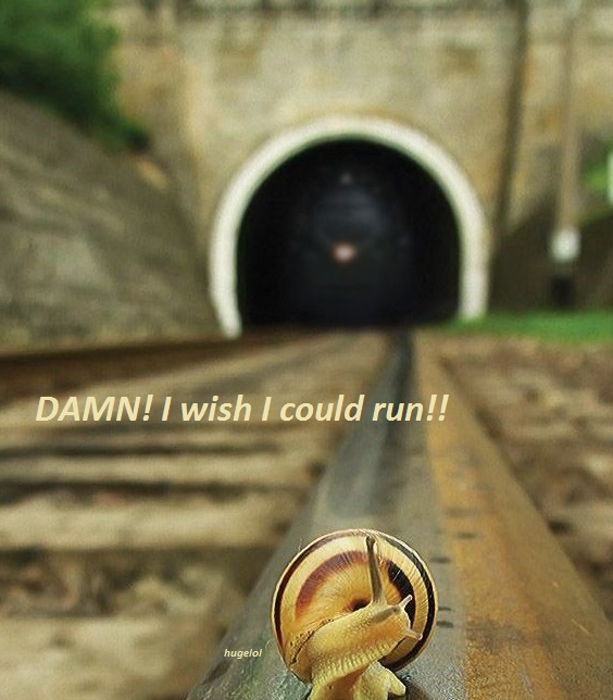 Run forrest!