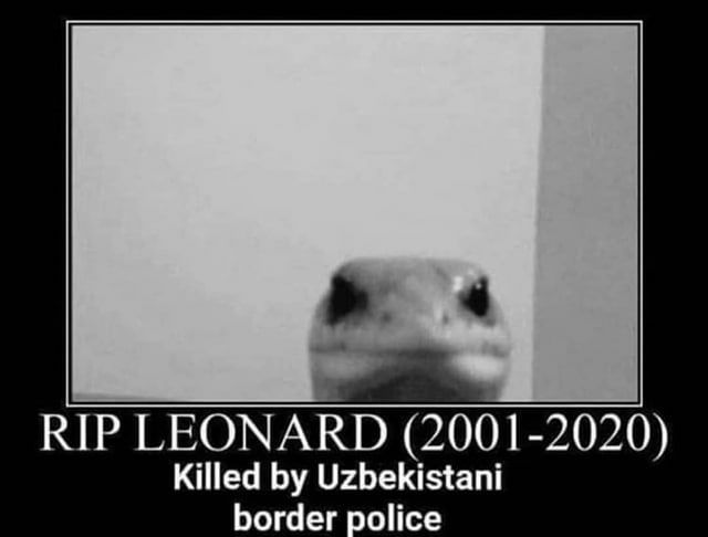 rip